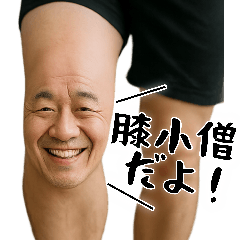 [LINEスタンプ] 膝小僧  (毎日凄く使える膝の会話、返信)