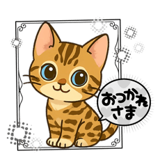 [LINEスタンプ] 『ベンガル』のスタンプ