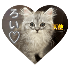 [LINEスタンプ] ROI-②