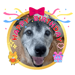 [LINEスタンプ] 優しい老犬チョコじいさん パート3