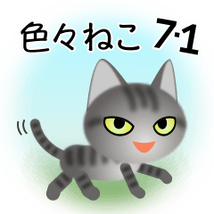 [LINEスタンプ] 色々な猫7-1 短毛-立ち耳-サバトラ