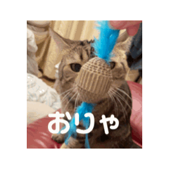 [LINEスタンプ] まる♂2 