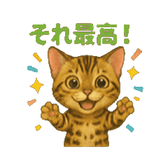 [LINEスタンプ] 猫いろいろ日常会話23