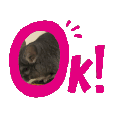 [LINEスタンプ] ちんちらの木村さん 