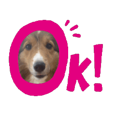 [LINEスタンプ] 動く！シェルティのエル 日常スタンプ 