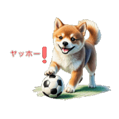 [LINEスタンプ] ❤️かわいい犬、猫、ハムスター、ウサギ❤️