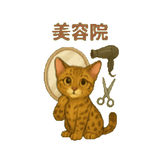 [LINEスタンプ] 動くいろいろ種類猫日常会話