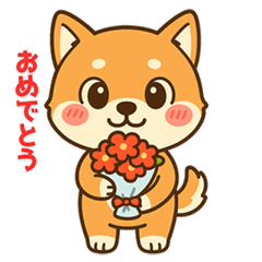 [LINEスタンプ] しばまるの日常（柴犬スタンプ）