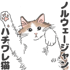 [LINEスタンプ] ノルウェージャン ハチワレねこ2