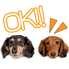 [LINEスタンプ] 那須家のるい＆めいちゃん