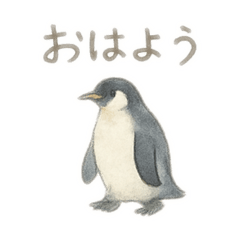 [LINEスタンプ] ペンギン 日常挨拶