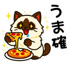 [LINEスタンプ] ばんがいアニマル｜ねこ_ギャル語編