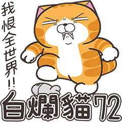 [LINEスタンプ] ランラン猫 72 (台湾版)