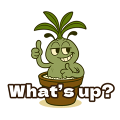 [LINEスタンプ] Mr.Adenium［英語]