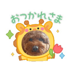[LINEスタンプ] royぷーの日常 