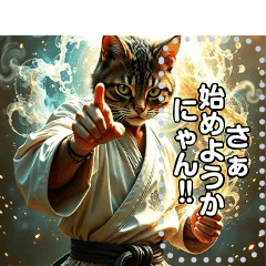 [LINEスタンプ] 【カッコいい空手家ねこ】