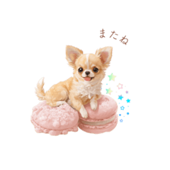 [LINEスタンプ] チワワ×スイーツ♡