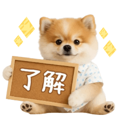 [LINEスタンプ] ▶動く！ポメラニアンの日常スタンプ