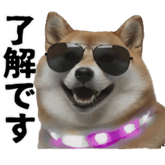 [LINEスタンプ] パリピな柴犬と猫の動くスタンプ 