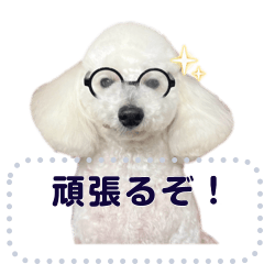 [LINEスタンプ] Moko stamp8