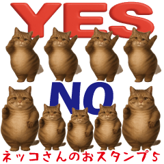 [LINEスタンプ] ネッコさんのおスタンプ5