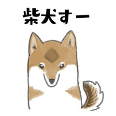[LINEスタンプ] 柴犬すースタンプ (ゆるめ)
