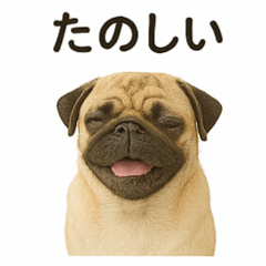 [LINEスタンプ] パグのいる風景