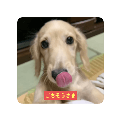 [LINEスタンプ] 今日は、ごきげんいかがですか。