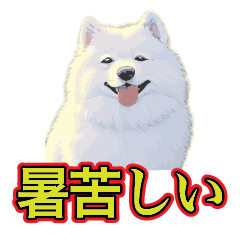 [LINEスタンプ] 犬味 暑苦しい