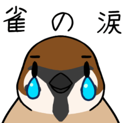 [LINEスタンプ] 眉毛付き身近な鳥スタンプ2