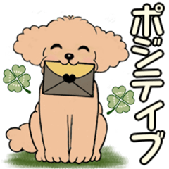 [LINEスタンプ] キュートなトイプードル ♡ ポジティブ