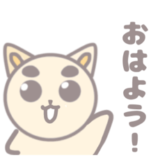 [LINEスタンプ] かわいい柴犬猫のゆるふわスタンプ！