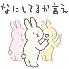 [LINEスタンプ] 彼氏に送るシュールなどうぶつ【彼女】