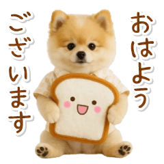 [LINEスタンプ] ⚡飛び出す！ポメラニアンの日常スタンプ