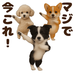[LINEスタンプ] 踊る！今これ界隈わんこMAX/犬/いぬ/イヌ