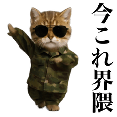 [LINEスタンプ] 踊る！今これ軍人にゃんこ