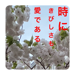 [LINEスタンプ] 思い色々