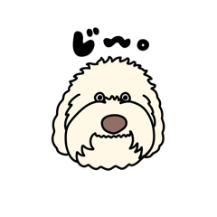 [LINEスタンプ] しゃべるオーストラリアンラブラドゥードル