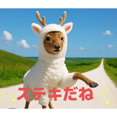[LINEスタンプ] アルシカちゃんの日常