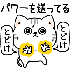 [LINEスタンプ] ねこ依存挨拶ポジティブ