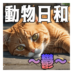 [LINEスタンプ] 動物日和 ～鬱～