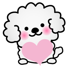 [LINEスタンプ] ずっと使えるワンコスタンプ♪トイプードル