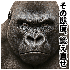 [LINEスタンプ] ゴリマッチョ降臨