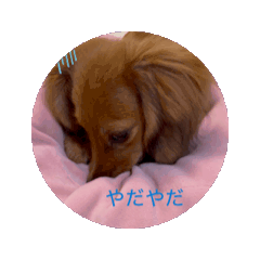 [LINEスタンプ] カニヘンダックスkun 