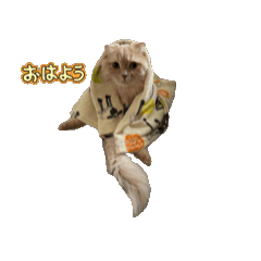 [LINEスタンプ] ウチのたろう君 