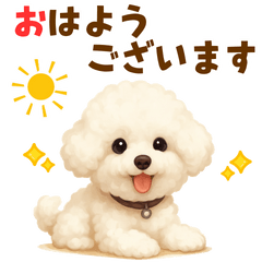 [LINEスタンプ] ビションフリーゼ好きのためのかわいい日常