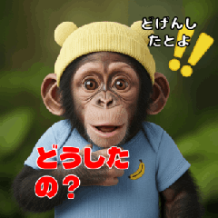 [LINEスタンプ] チンパンジーのキュートな仲間たち