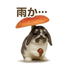 [LINEスタンプ] うさンプ:mochi（秋・ハロウィン）