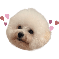 [LINEスタンプ] ビションプーのうに