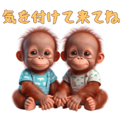 [LINEスタンプ] [気を付けて来てね]双子オランウータンベビ